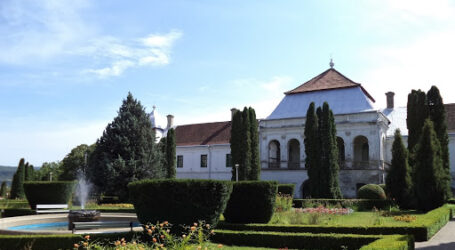 Un candidat la Primăria Jibou propune reabilitarea Castelului Wesselenyi
