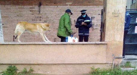 Un om al străzii care plimba un câine, sancționat de un polițist local din Zalău