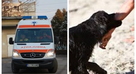 Duba de Jandarmerie, transformată în Ambulanță în cazul femeii mușcate de un câine în Zalău. Ambulanța NU avea autospeciale disponibile