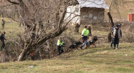 Operațiune amplă în comuna Creaca – un copil de 4 ani a dispărut într-o pădure