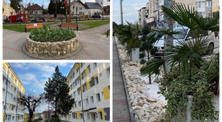 Jiboul se transformă într-un oraș VERDE