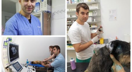 Povestea tânărului zălăuan Raul Negritaș, unul dintre cei mai apreciați medici veterinari din Ardeal