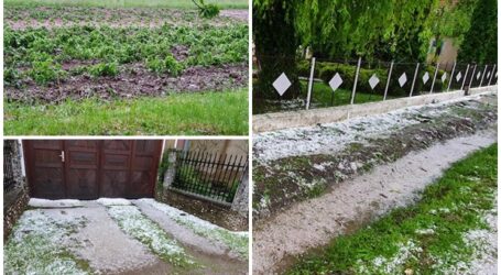Grindina a făcut pagube însemnate în comuna Bănișor