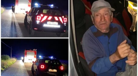 VIDEO. Un bărbat din Jibou s-a rătăcit într-o pădure, după ce a fost fugărit de un urs – autoritățile l-au căutat în disperare o noapte întreagă
