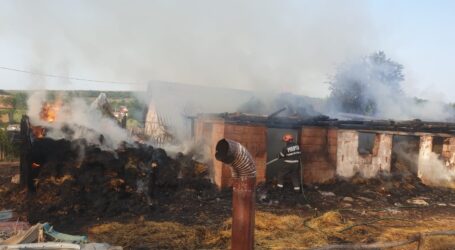 Incendiu devastator în comuna Ileanda – au ars o tonă de cereale, o mașină și electorcasnice