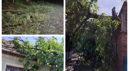Furtuna a făcut prăpăd în Sălaj: gospodărie lovită de fulger, drumuri blocate, copaci căzuți pe mașini și case
