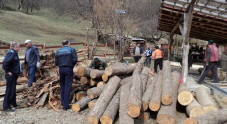 Polițiștii au amendat o firmă din Sălaj care tăia lemn ilegal