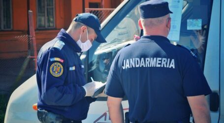 Doi hoți de lemne s-au luat la ceartă cu jandarmii din Jibou, după ce au fost prinși la furat