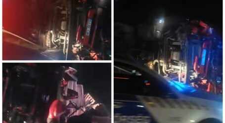 VIDEO. Un șofer de camion din Sălaj, rănit într-un accident în Ungaria. TIR-ul s-a răsturnat și a explodat, după ce a lovit o căprioară