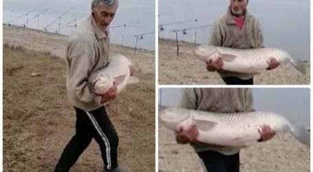 VIDEO. „Monstrul” din Vârșolț. Captură impresionantă, prinsă de un pescar sălăjean