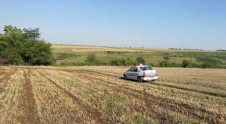Un tânăr a furat 24 de tone de soia de pe un teren agricol din Bobota