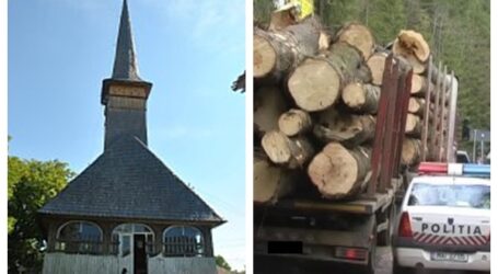 Preot din Sălaj, prins de polițiști cu lemn FURAT din pădure