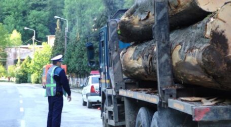 7 hoți de lemne, prinși de polițiștii din Sălaj în weekend