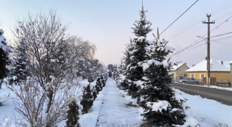 ATENȚIE! Meteorologii anunță o noapte geroasă în Sălaj, cu temperaturi EXTREME de până la minus 25 de grade Celsius