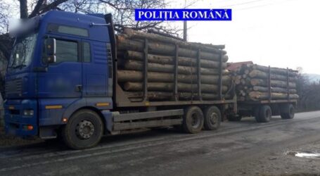 Camion plin cu lemn furat, descoperit de polițiștii din Jibou
