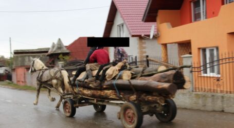 Un tânăr din Românași, prins de jandarmi în timp ce transporta lemne cu căruța prin Zalău