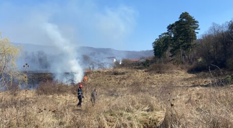VIDEO. Incendiu puternic în Zalău, lângă Parcul Brădet