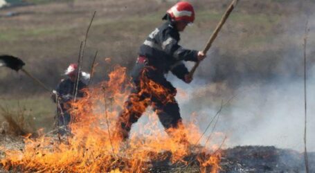 20 de hectare de vegetație din Sălaj, mistuite de flăcări în ultimele 24 de ore