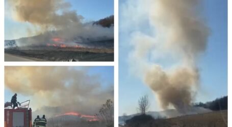 VIDEO. ULTIMA ORĂ! Incendiu puternic între Creaca și Jac – au ars până acum 2 hectare de vegetație