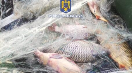 Cinci tineri, prinși la braconaj pe Lacul Vârșolț: au capturat peste 500 kilograme de pește