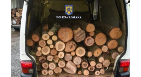 FOTO. Cu lemnul furat în dubă. Polițiștii din Sălaj au defășurat o acțiune împotriva hoților de lemn