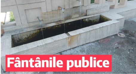 Consilierul local al USR Zalău, Gabriela Olar își dorește montarea de plăcuțe informative la fântânile arteziene din oraș