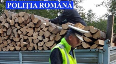 Doi hoți de lemne din Satu Mare și Buzău, prinși de polițiștii din Jibou