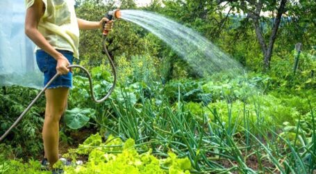 3 sate de lângă Zalău au rămas fără apă potabilă, după ce locuitorii și-au udat grădina cu apă de la rețeaua publică