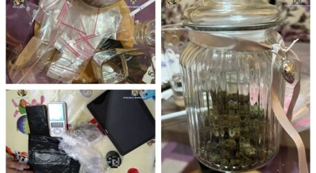 FOTO. Ciuperci halucinogene și canabis, confiscate de procurorii DIICOT de la 4 tineri din Zalău și Jibou