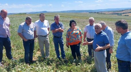Ministrul Agriculturii a venit în Sălaj pentru a vedea pagubele provocate de secetă