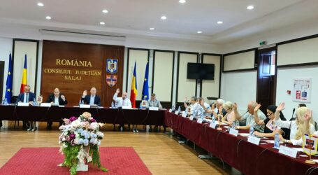 Consiliul Județean cumpără 15 hectare de teren de la două biserici din Hereclean pentru construirea unui parc industrial