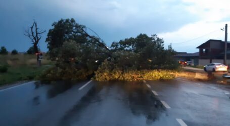 Urmările furtunii de vineri din Sălaj: 2 drumuri, blocate de copacii căzuți pe carosabil