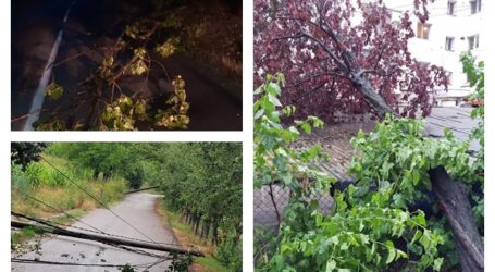 FOTO. Bilanțul pagubelor provocate de furtuna de ieri din Sălaj