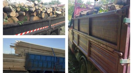 FOTO. Weekend plin pentru polițiștii sălăjeni: au descoperit numeroase camioane pline cu lemn furat