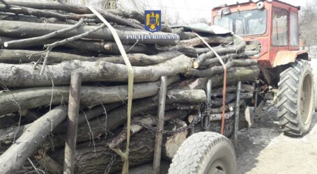 Un bărbat de 58 de ani, prins că a furat  lemne de foc din pădurea Bisericii Ortodoxe din Bodia
