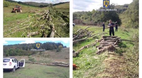 FOTO. Hoți de lemne, prinși pe șantierul Autostrăzii Zimbor – Poarta Sălajului
