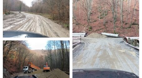 Investiție de 1,2 milioane de euro: Direcția Silvică modernizează drumul spre Păstrăvăria Tusa