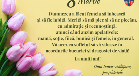 Dinu Iancu-Sălăjanu, președintele Consiliului Județean Sălaj urează tuturor doamnelor și domnișoarelor “La mulți ani”!