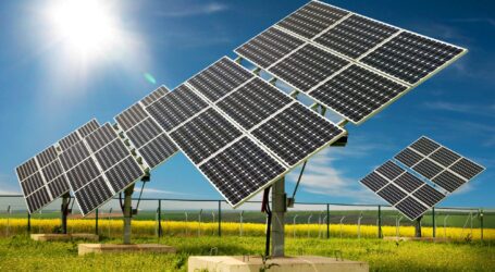 Primăria Jibou vrea să construiască o centrală fotovoltaică pe Dealul Ciglentir
