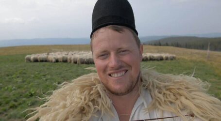Ghiță Ciobanu, prădat de hoți în Sălaj. Doi tineri i-au furat mai multe oi de la stână