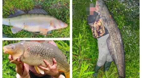 FOTO. „Monștrii” pe Someș, în Sălaj. Ce capturi fac pescarii, după ce s-a deschis oficial sezonul