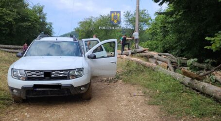 FOTO. Hoți de lemn de pe Valea Someșului, prinși de polițiștii din Jibou