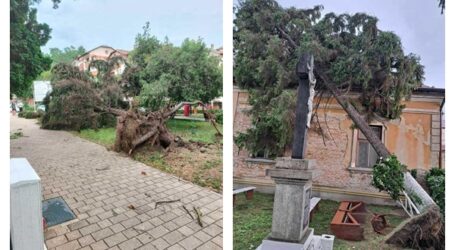 VIDEO. Pagube însemnate în Șimleu Silvaniei, după furtuna de ieri