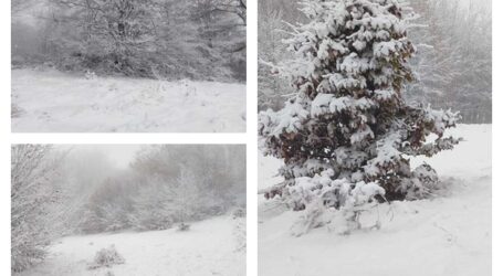 FOTO. Prima zăpadă din Sălaj. A nins ca-n povești în mai multe zone din județ