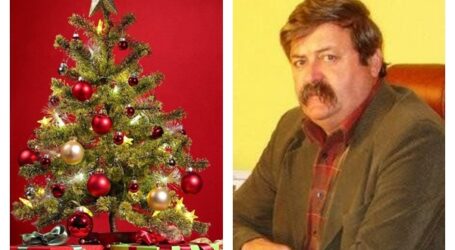 Primăria Ip vă urează Crăciun Fericit