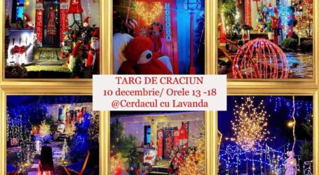 Târg inedit de Crăciun, într-un sătuc din Sălaj
