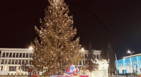 Lovitura lui Dorel: muncitorii care au demontat bradul de Crăciun din Zalău au lăsat fără curent electric camerele de supraveghere din centru
