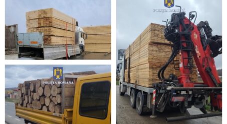 FOTO. Pe șoselele Sălajului se transportă foarte mult lemn ilegal