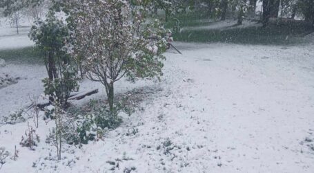 Ninge în mai multe zone din Sălaj. La noapte, temperaturi sub 0 grade, îngheț și brumă