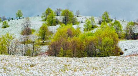 FOTO. A nins în mai multe zone din județul Sălaj